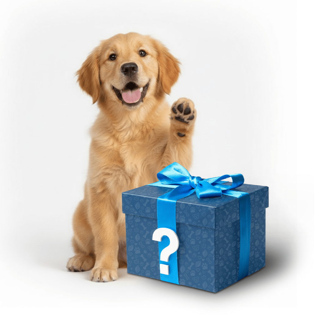 Mystery Gift for Dog Lovers BestLife4Pets 