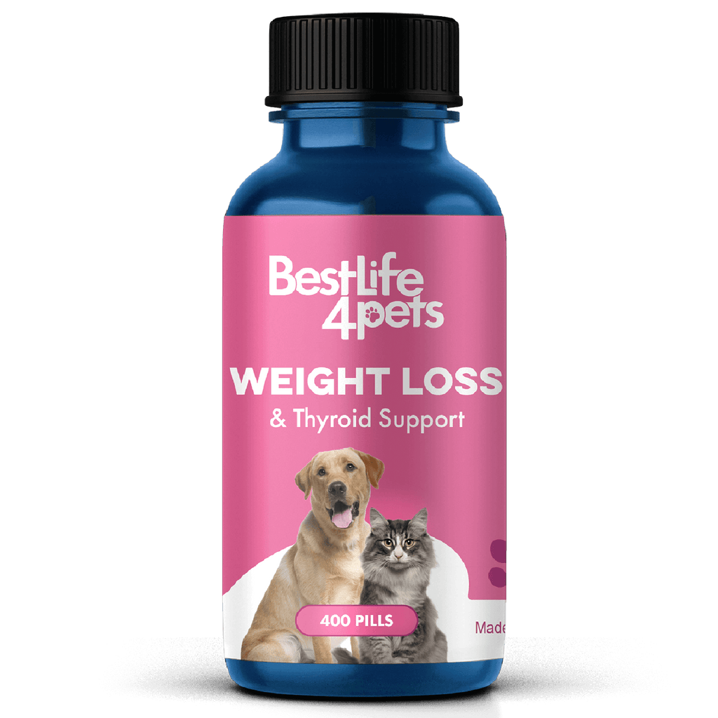 Natural Weight Loss & Thyroid Support Supplement for Dogs & Cats BestLife4Pets 