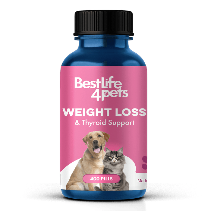 Safe Natural Weight Loss Supplement for Dogs & Cats - Helps Control Appetite for Overweight Pets BestLife4Pets 