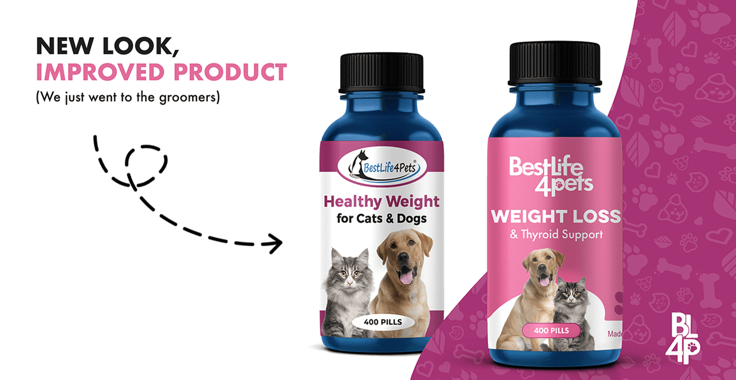 Hypo Balance Thyroid Care for Dogs and Healthy Weight for Cats & Dogs: Now Weight Loss and Thyroid Support