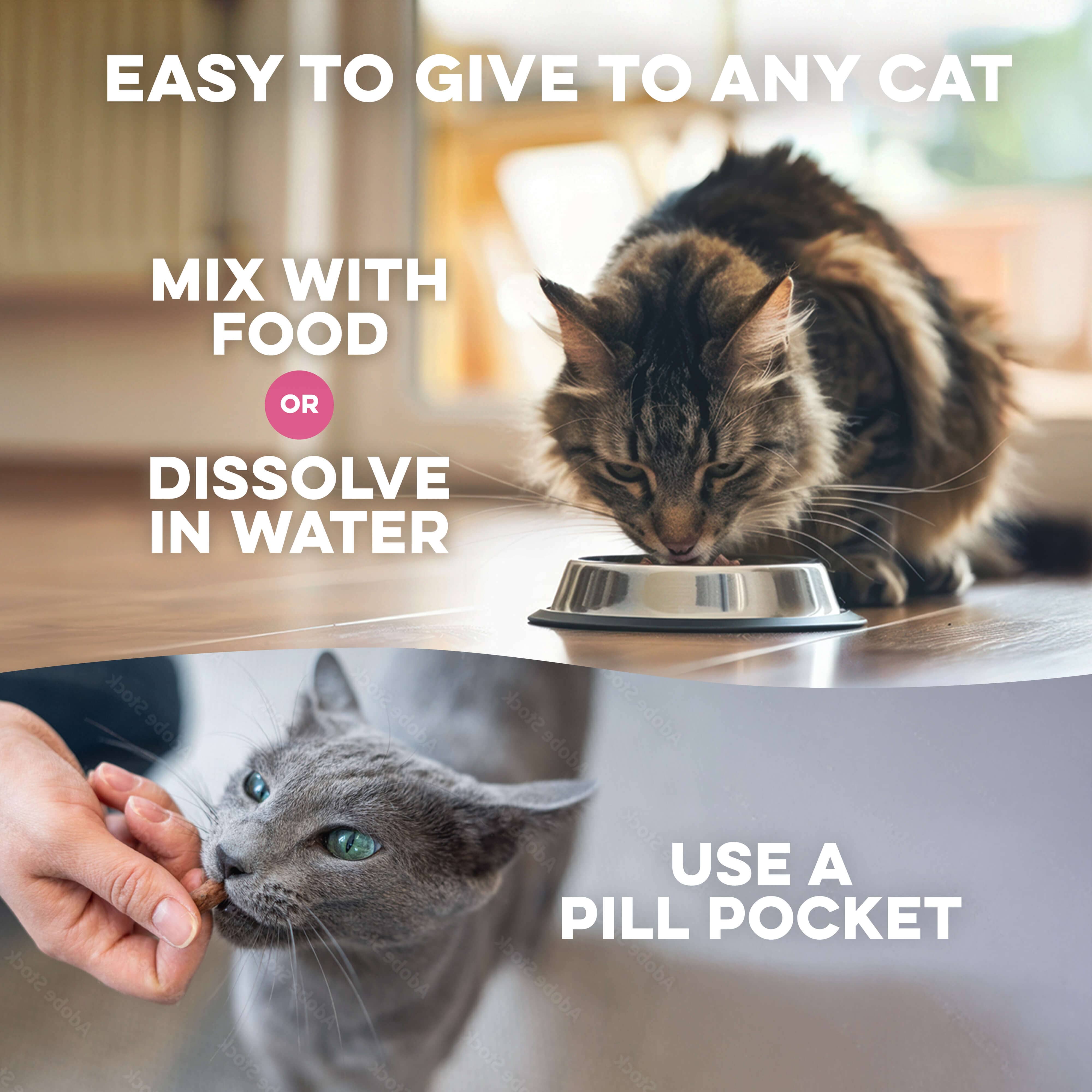 Cat Weight Gain + Thyroid Support Remedy BestLife4Pets 