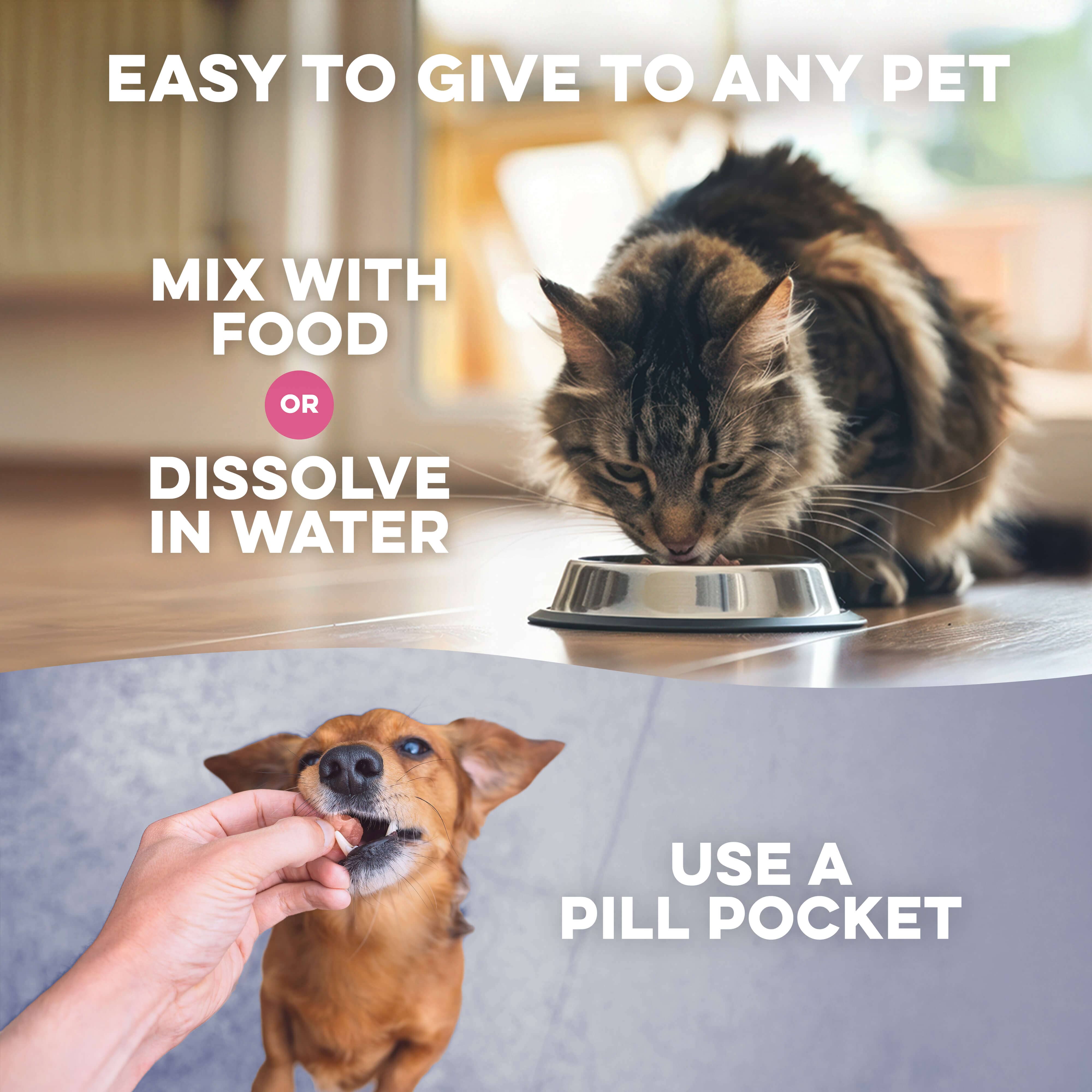 Dog & Cat Weight Loss & Thyroid Support Remedy BestLife4Pets 