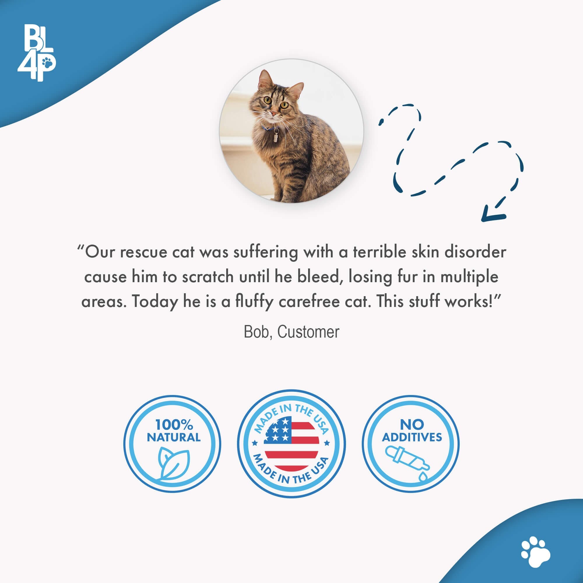 Natural Cat Allergy & Immunity Support Supplement BestLife4Pets 