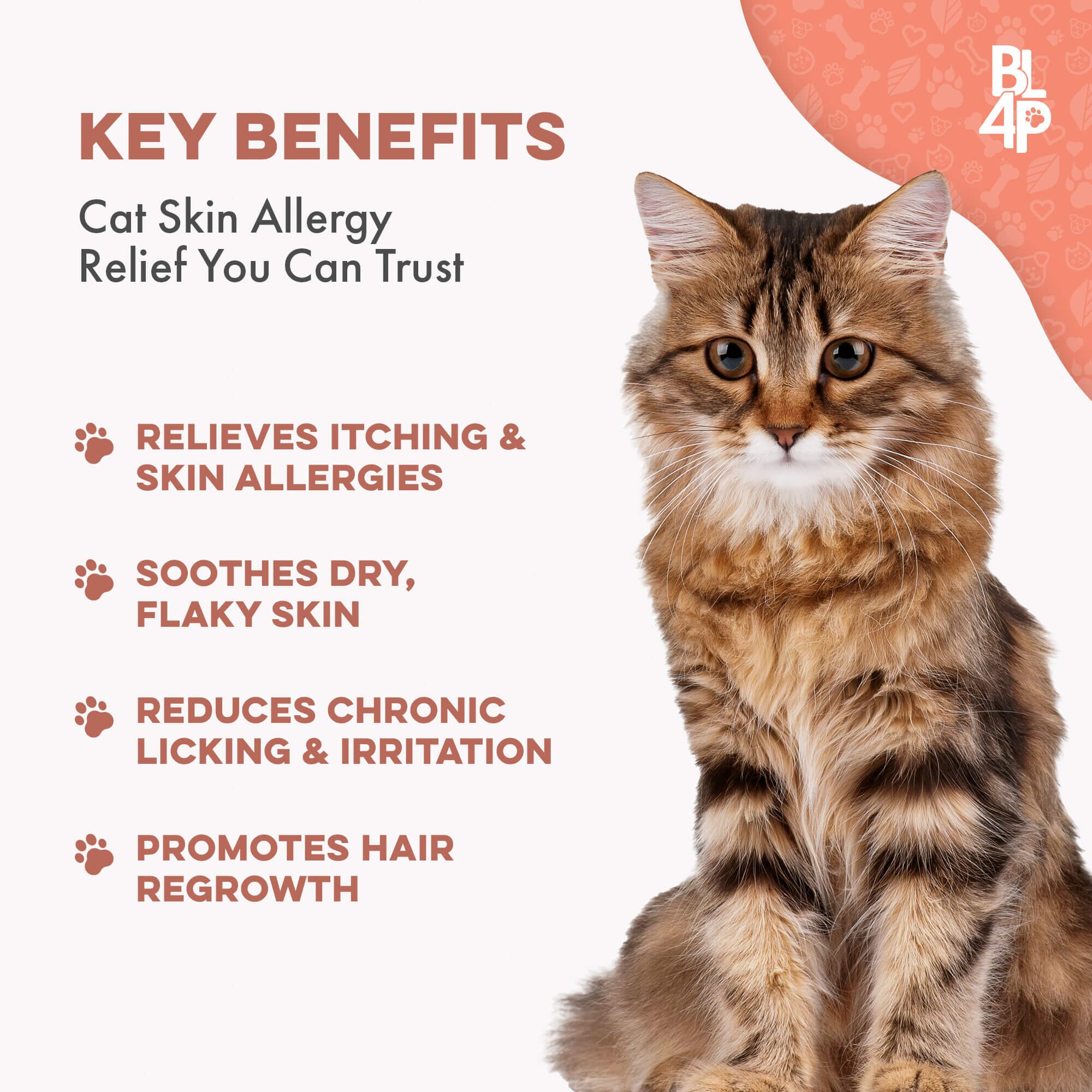 Healthy Skin for Cats - Cat Miliary Dermatitis, Skin Allergy & Cat Scabs Remedy BestLife4Pets 