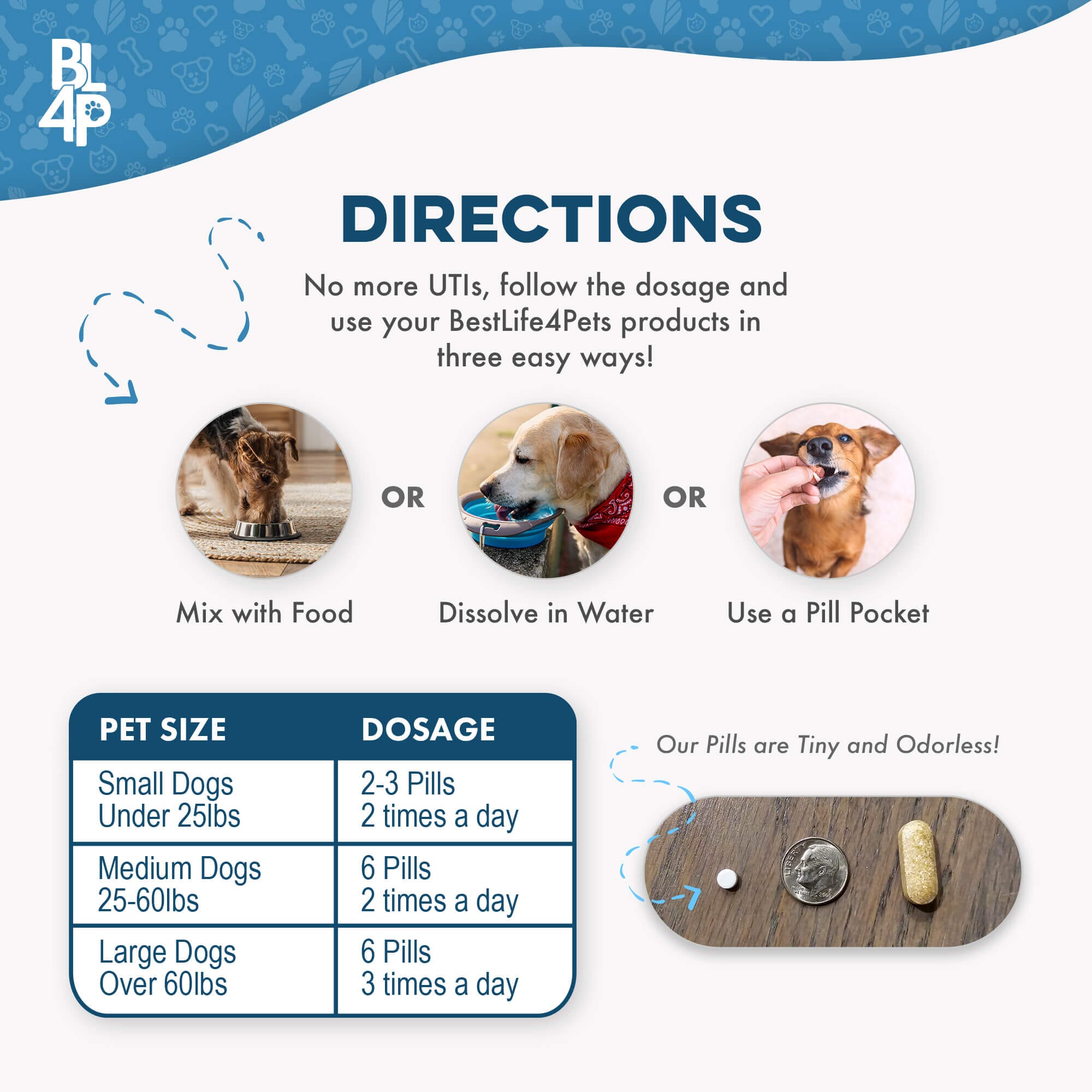 Dog UTI & Kidney Infection Treatment for Dogs BestLife4Pets 