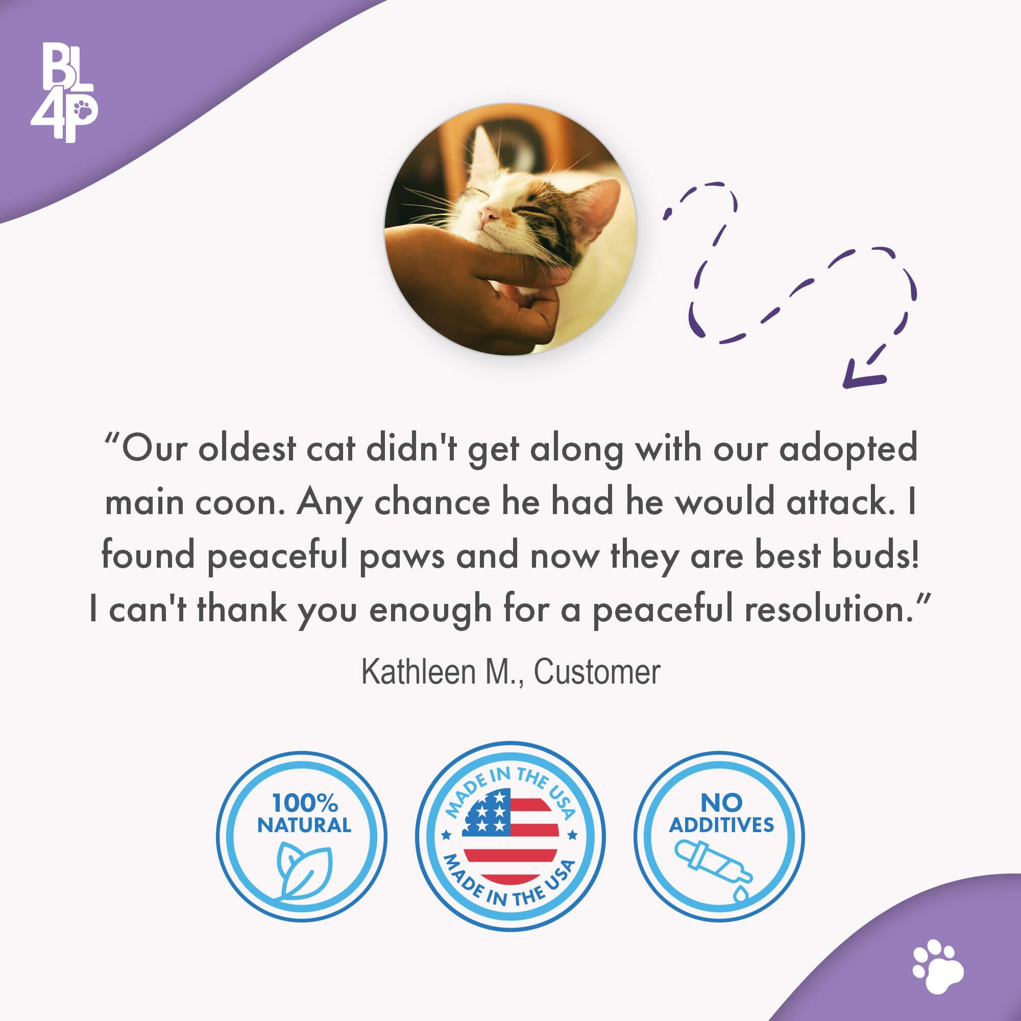 Peaceful Paws Cat Aggression & Anxiety Management for Stress, Spraying, Territorial Behavior BestLife4Pets 