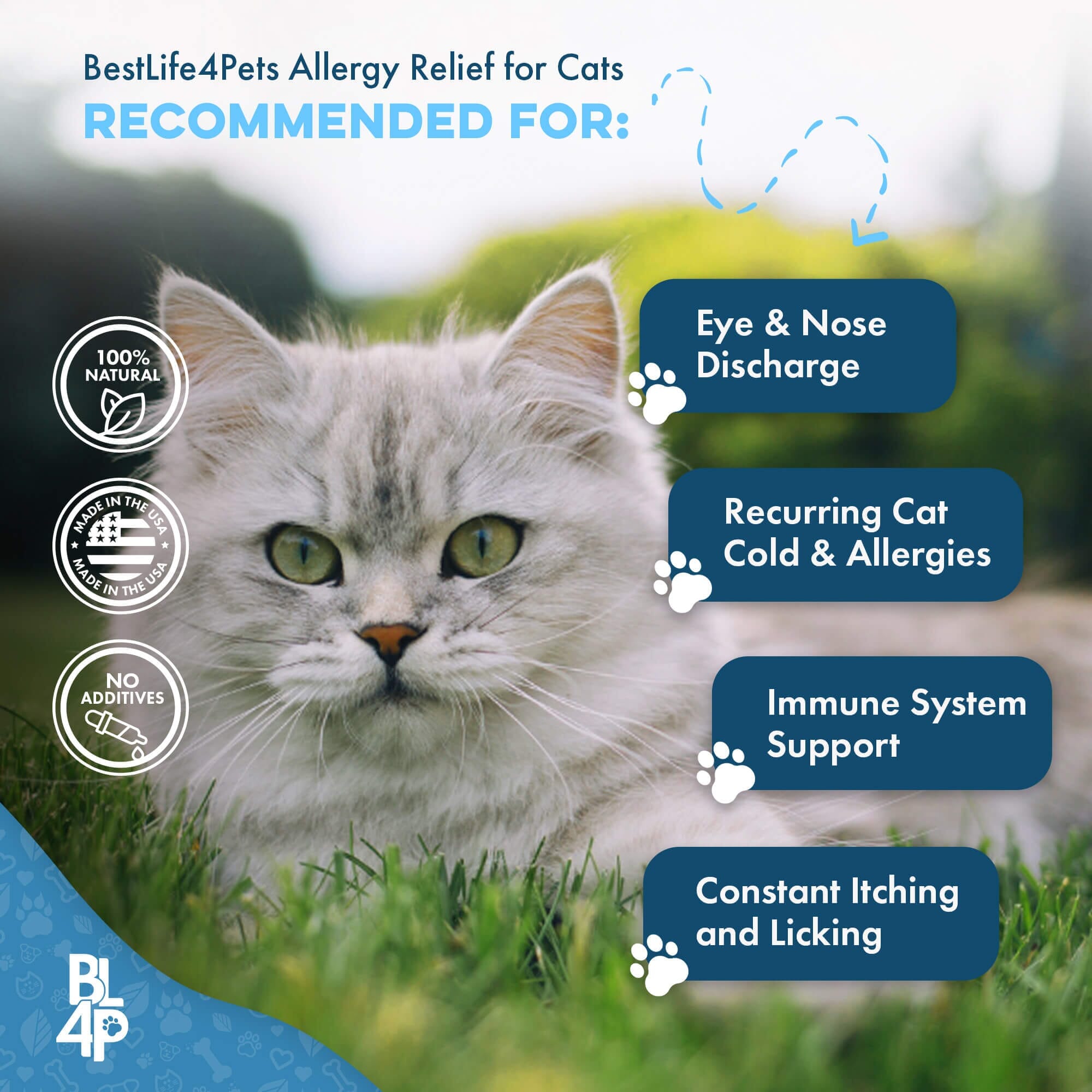 Natural Cat Allergy & Immunity Support Supplement BestLife4Pets 