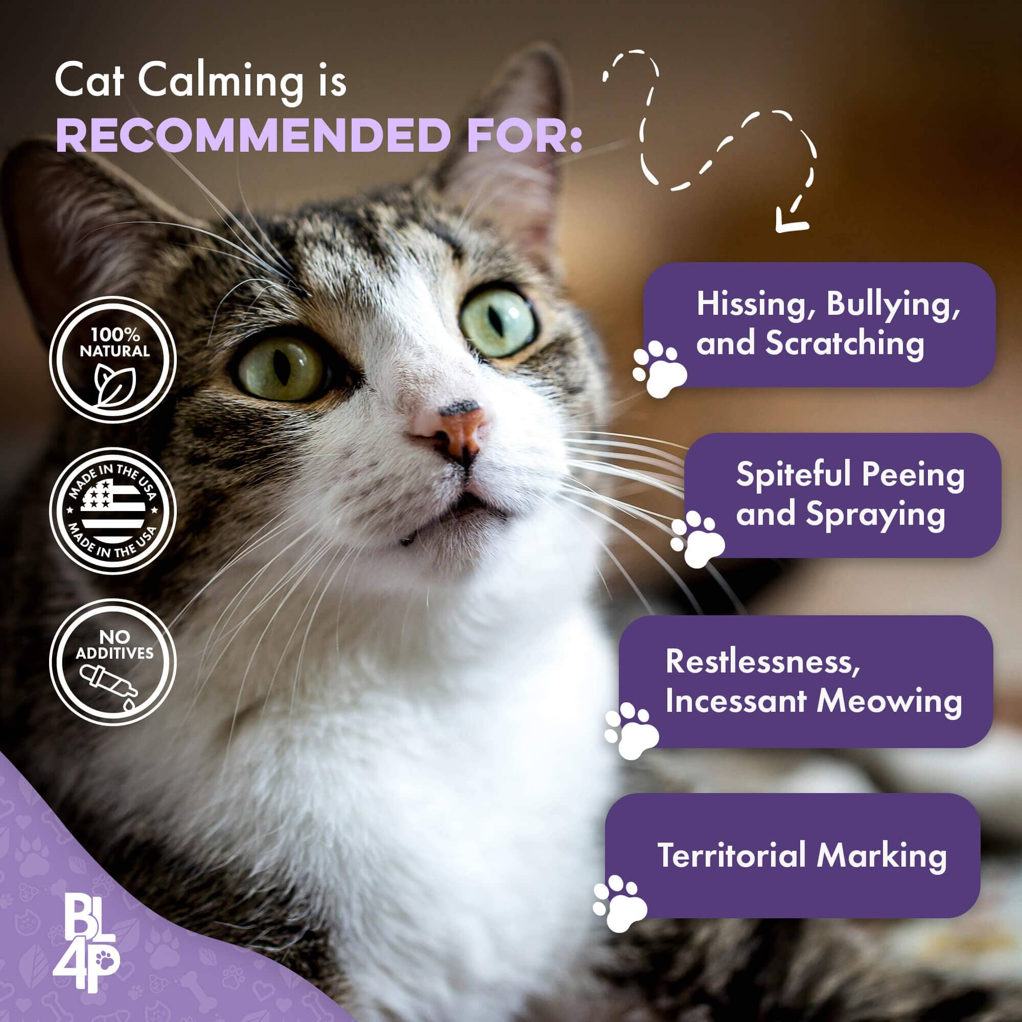 Cat Aggression Treatment That Works Natural Calming Remedy
