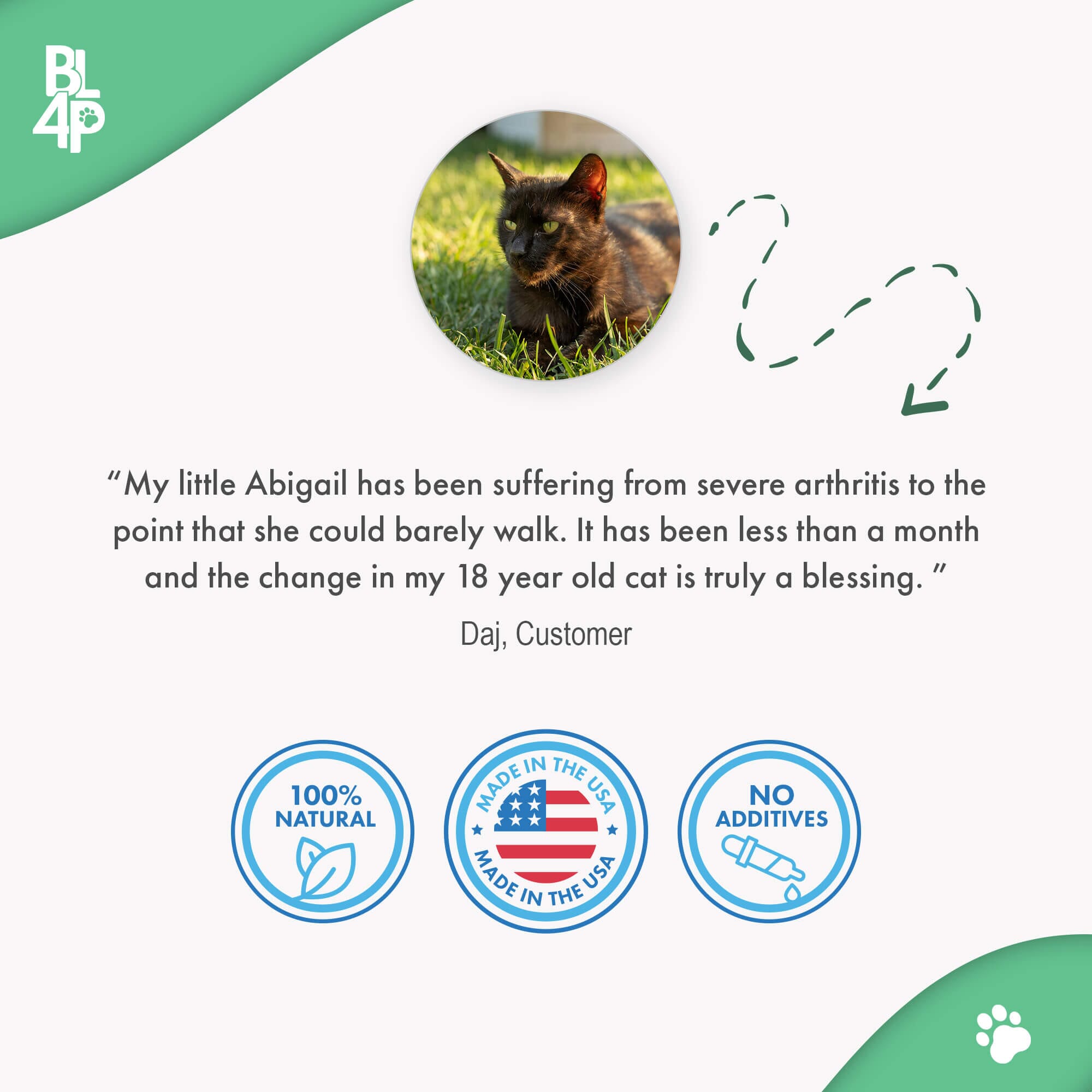 WALK-EASY® Joint and Hip Pain Relief for Dogs and Cats - Helps Arthritis, Torn Ligament and Other Joint Conditions BestLife4Pets 