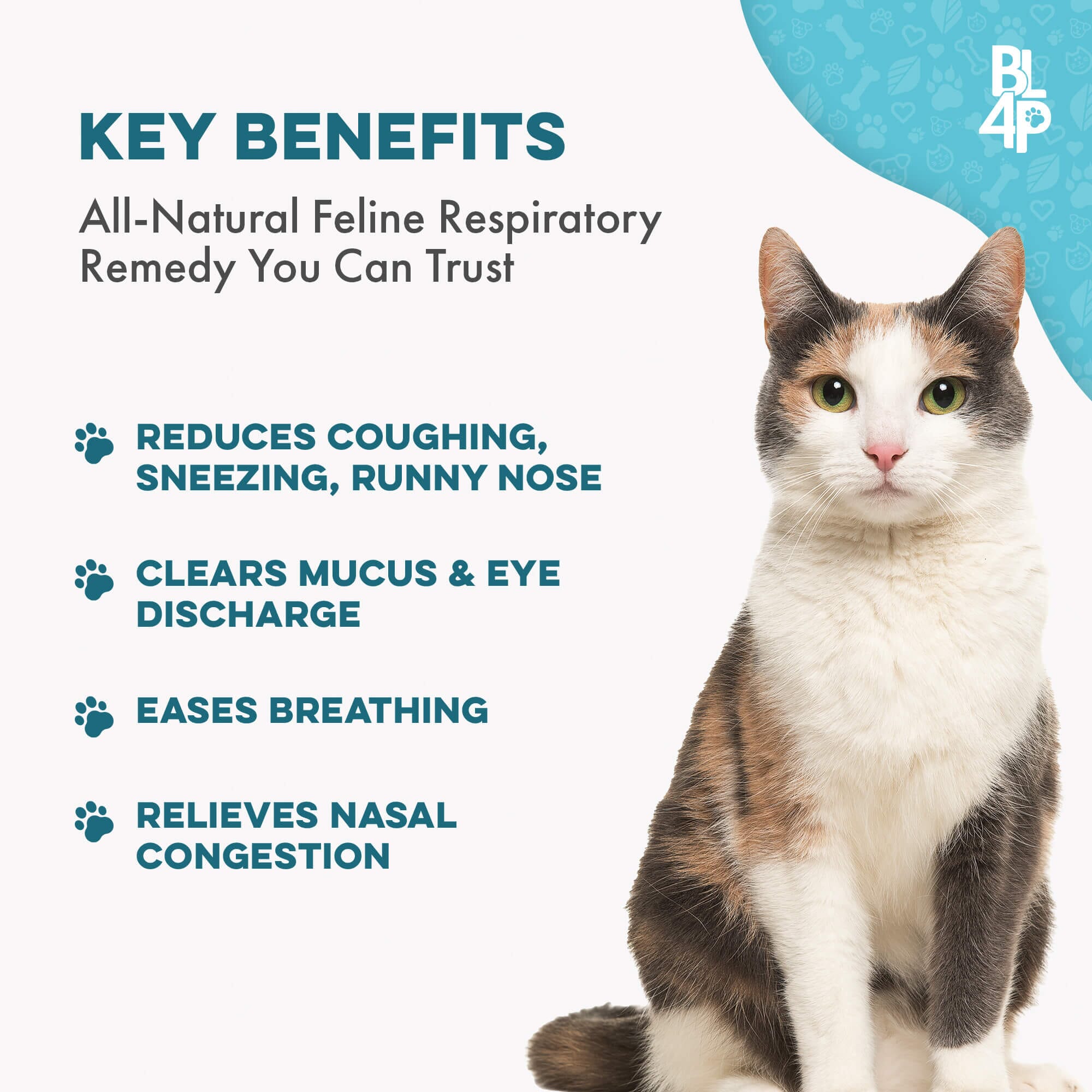 Cat Cold, Sneezing Respiratory Support Remedy - Main Image