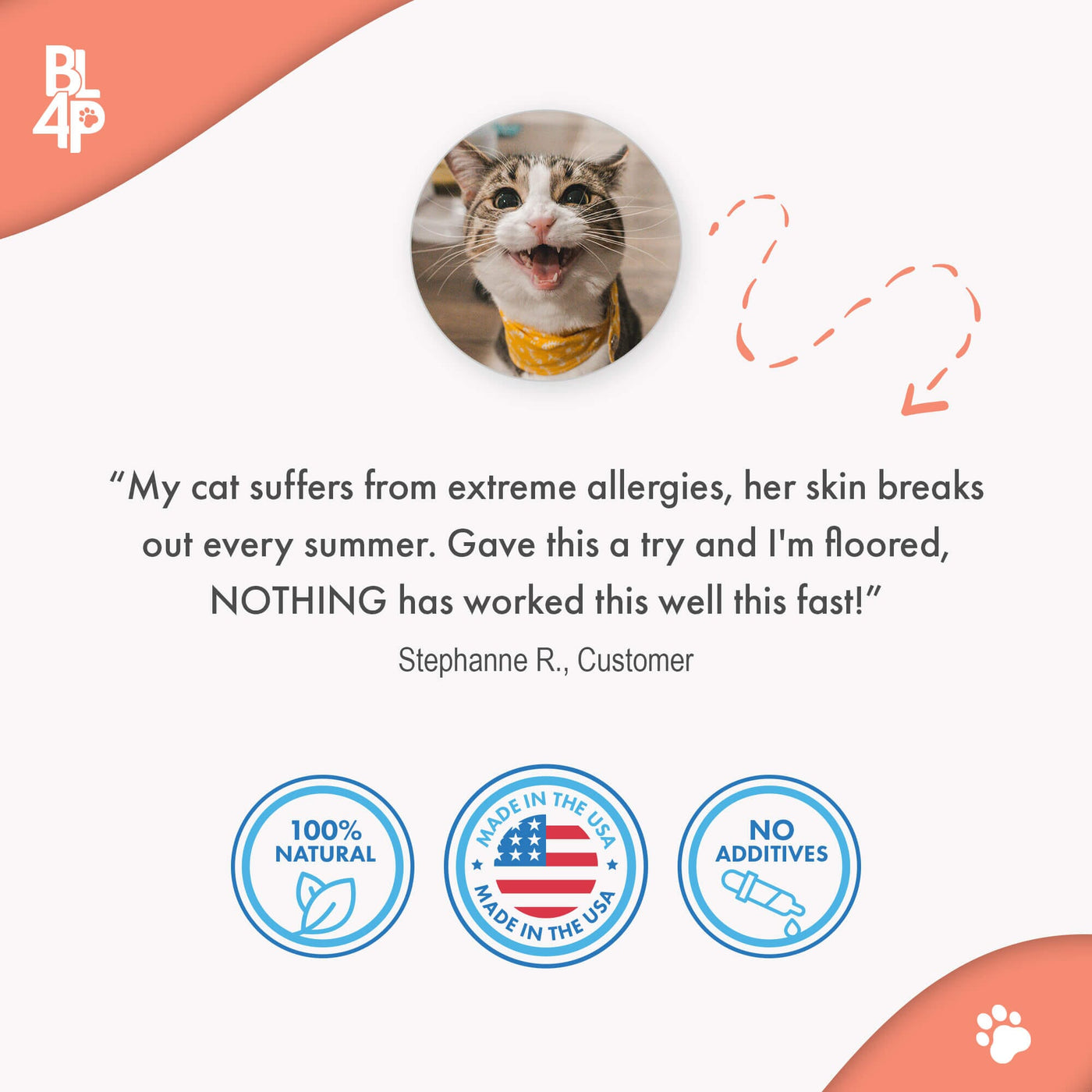 Cat Miliary Dermatitis Remedy (Scabs, Flea Allergy) // BestLife4Pets