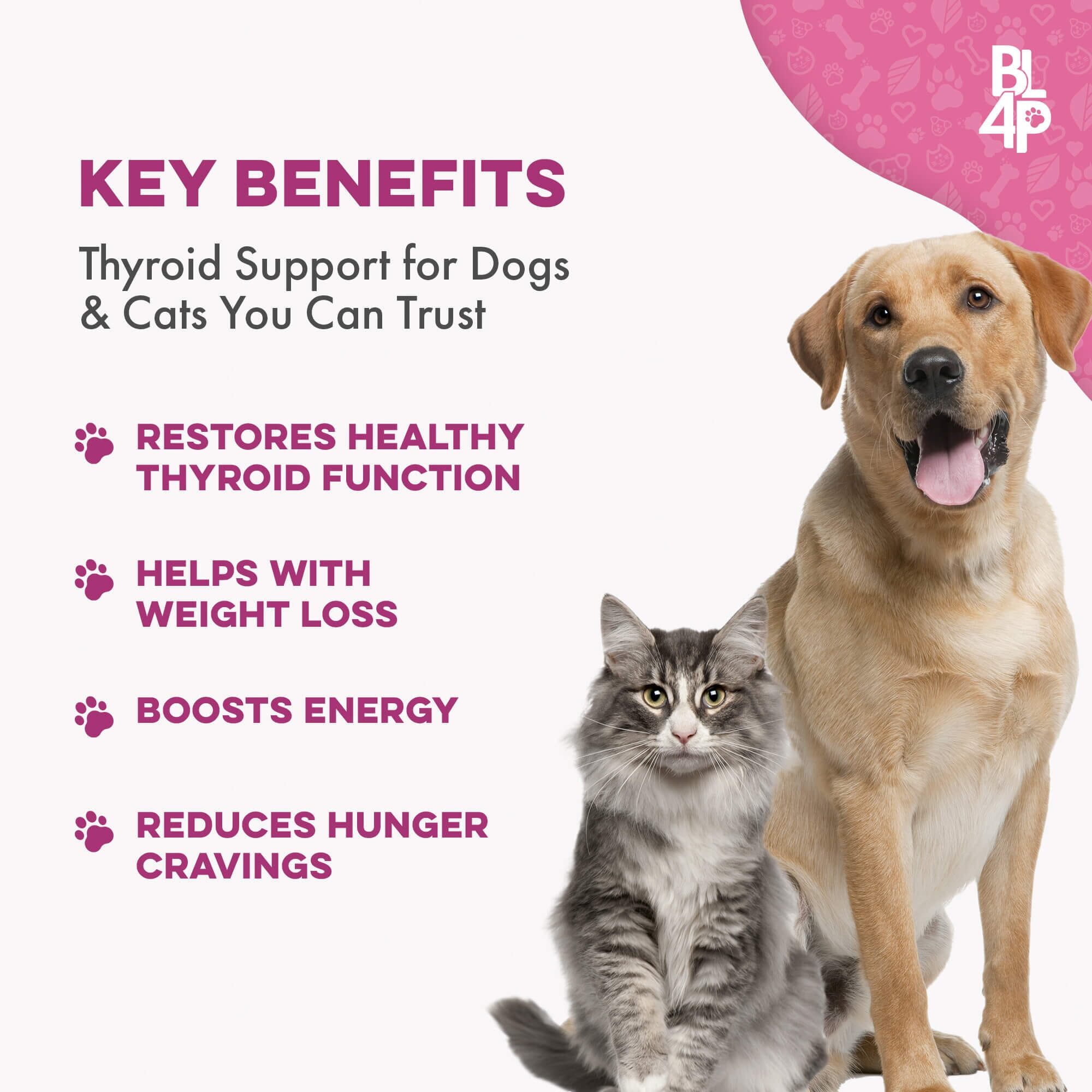 Dog Joint Health & Mobility Bundle (Arthritis, Hip Pain, Mobility Issues) BestLife4Pets 