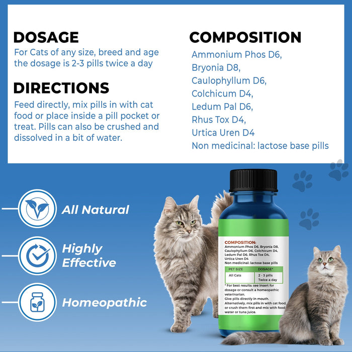 Cat Hip and Joint Pain Relief - Effective Anti-inflammatory and Arthritis Pain Medicine BestLife4Pets 