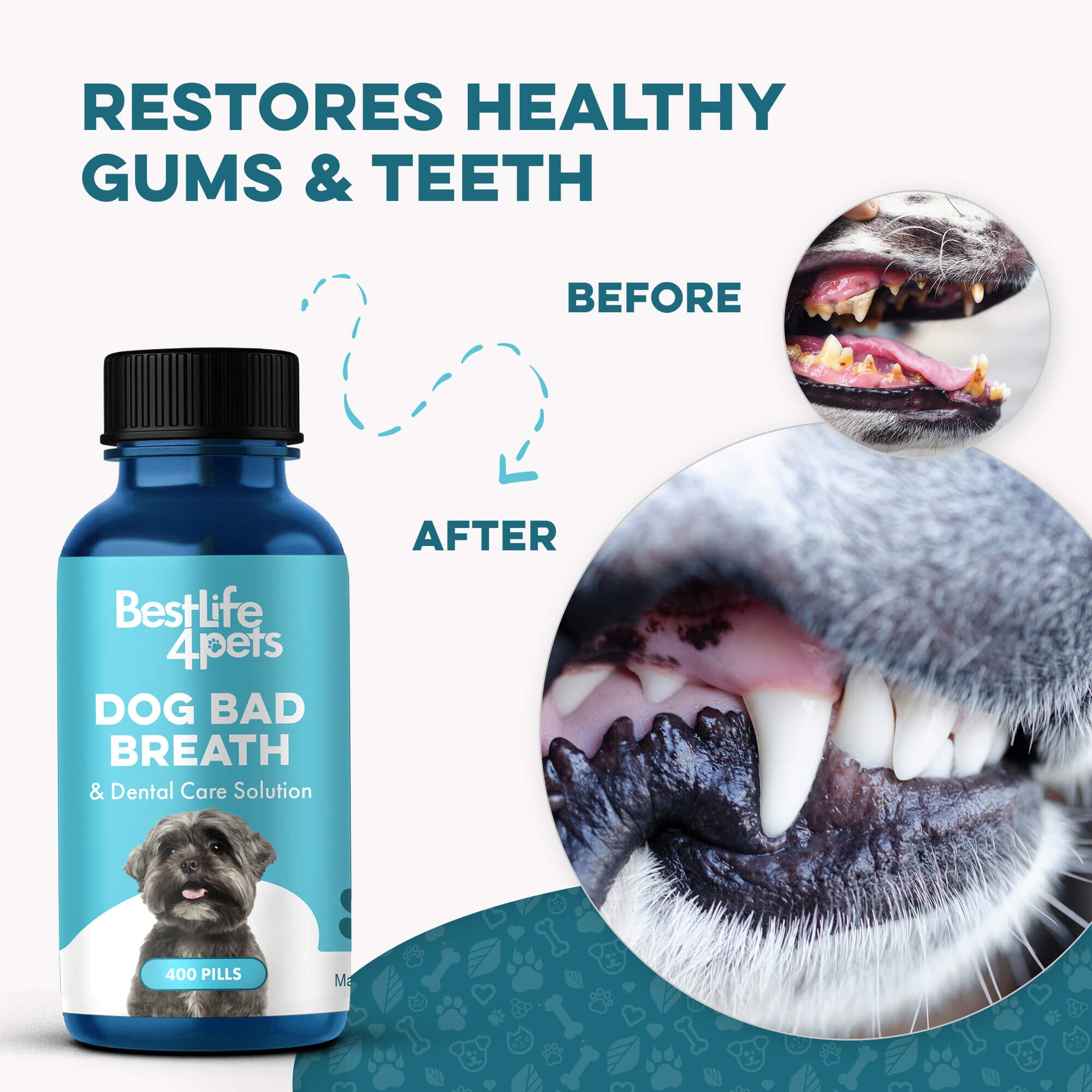 Gingivitis Dog Mouth Infection Treatment Fortify Dental Powder For