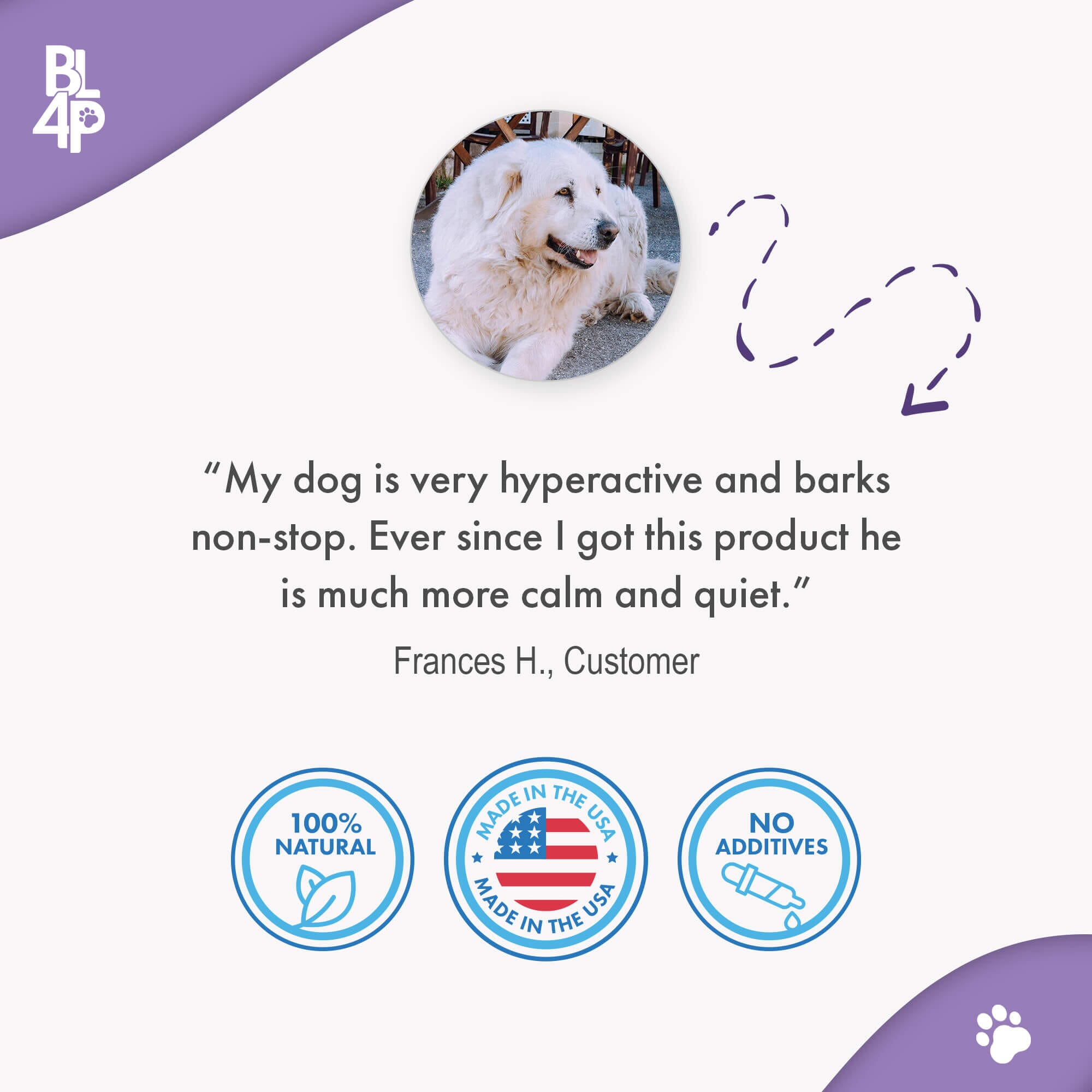 Peaceful Paws Dog Aggression Management and Noise Phobia Remedy BestLife4Pets 