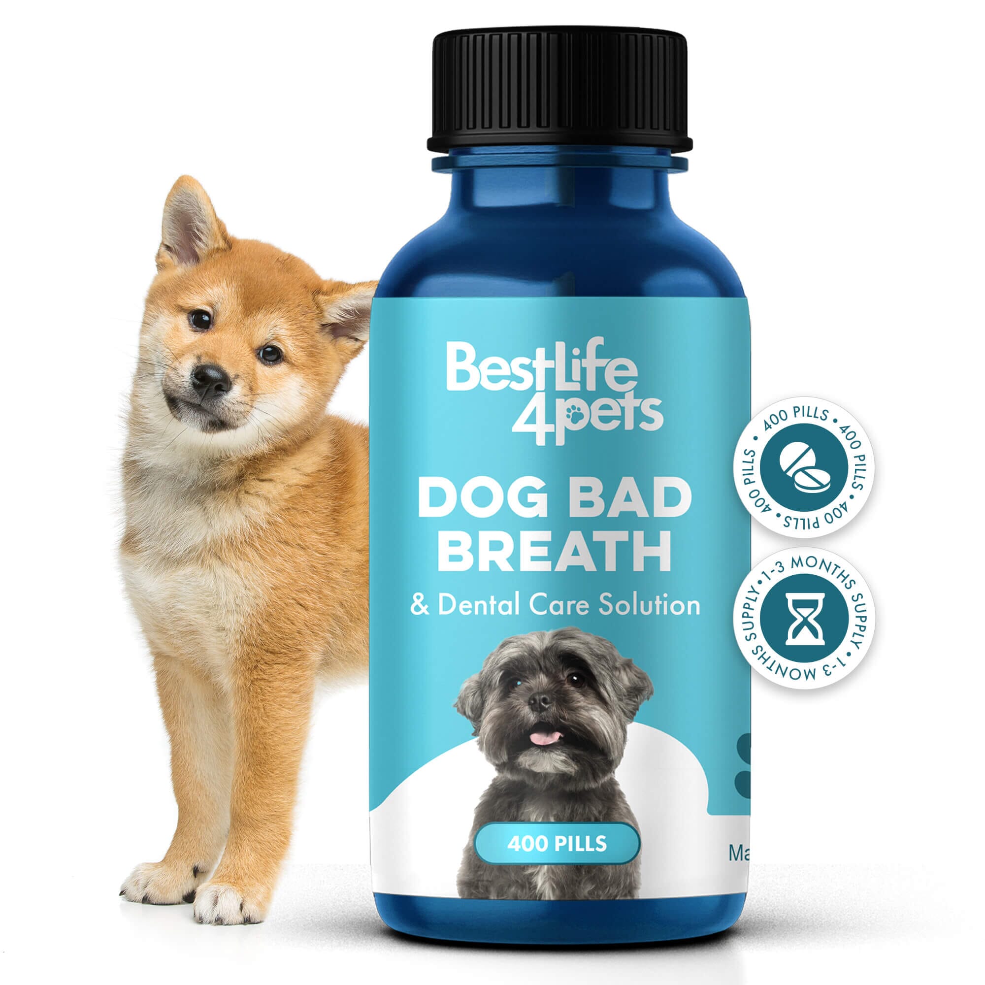 Dog Bad Breath & Dental Care Solution - Natural Remedy for Canine Oral Health BestLife4Pets 