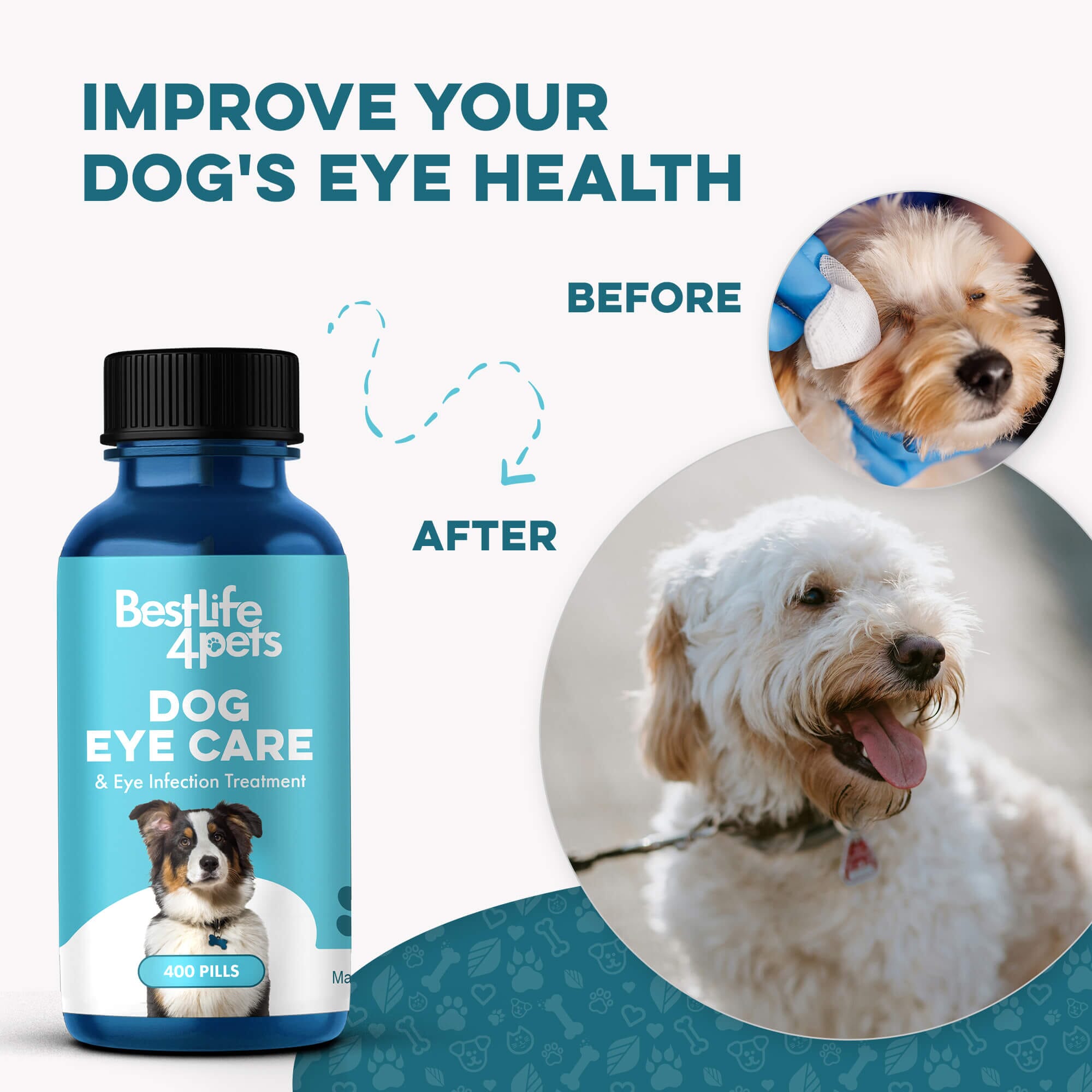 Natural Dog Eye Infection Treatment - Helps Conjunctivitis, Watery Eyes, Red Eye, and General Eye Care BestLife4Pets 