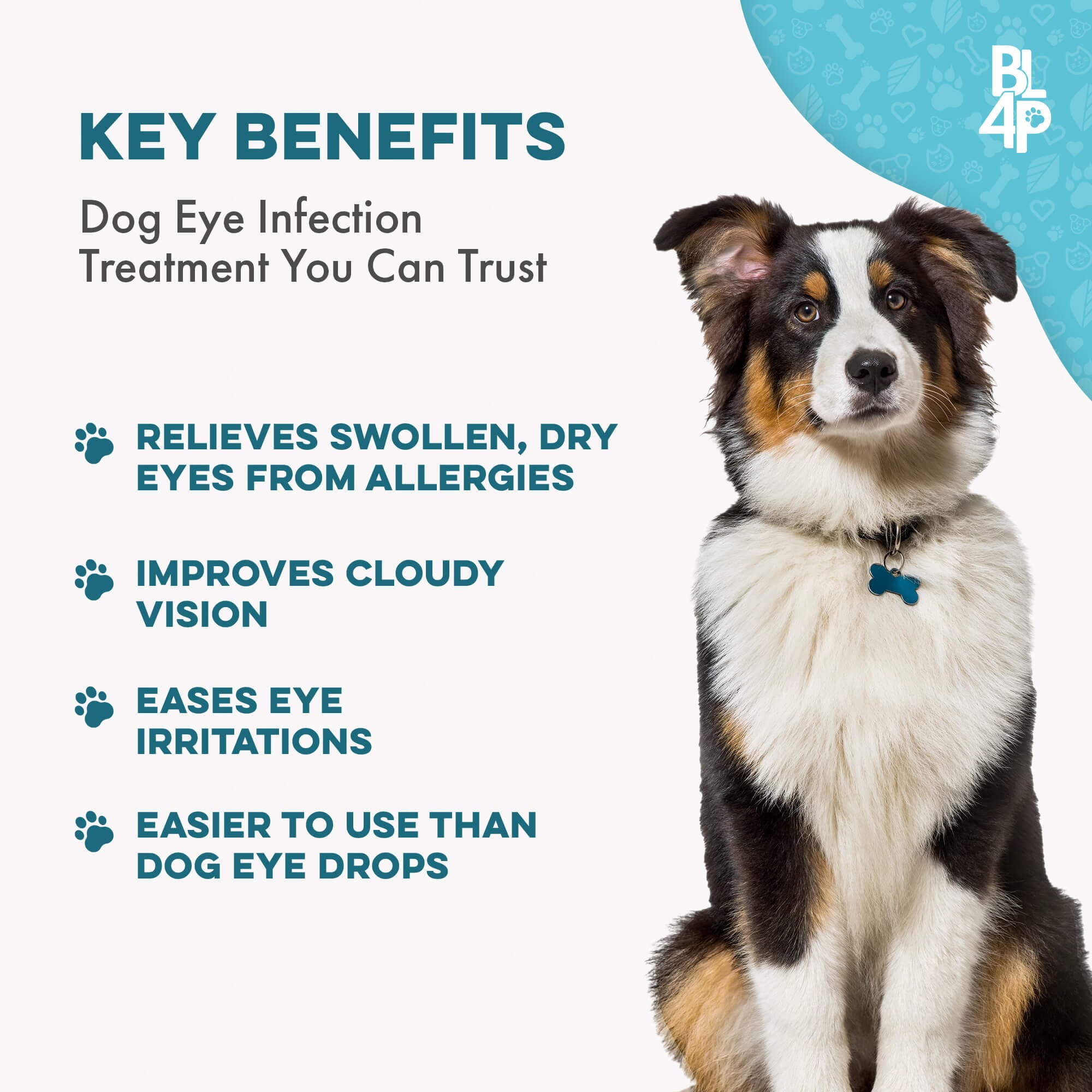 Natural Dog Eye Infection Treatment - Helps Conjunctivitis, Watery Eyes, Red Eye, and General Eye Care BestLife4Pets 
