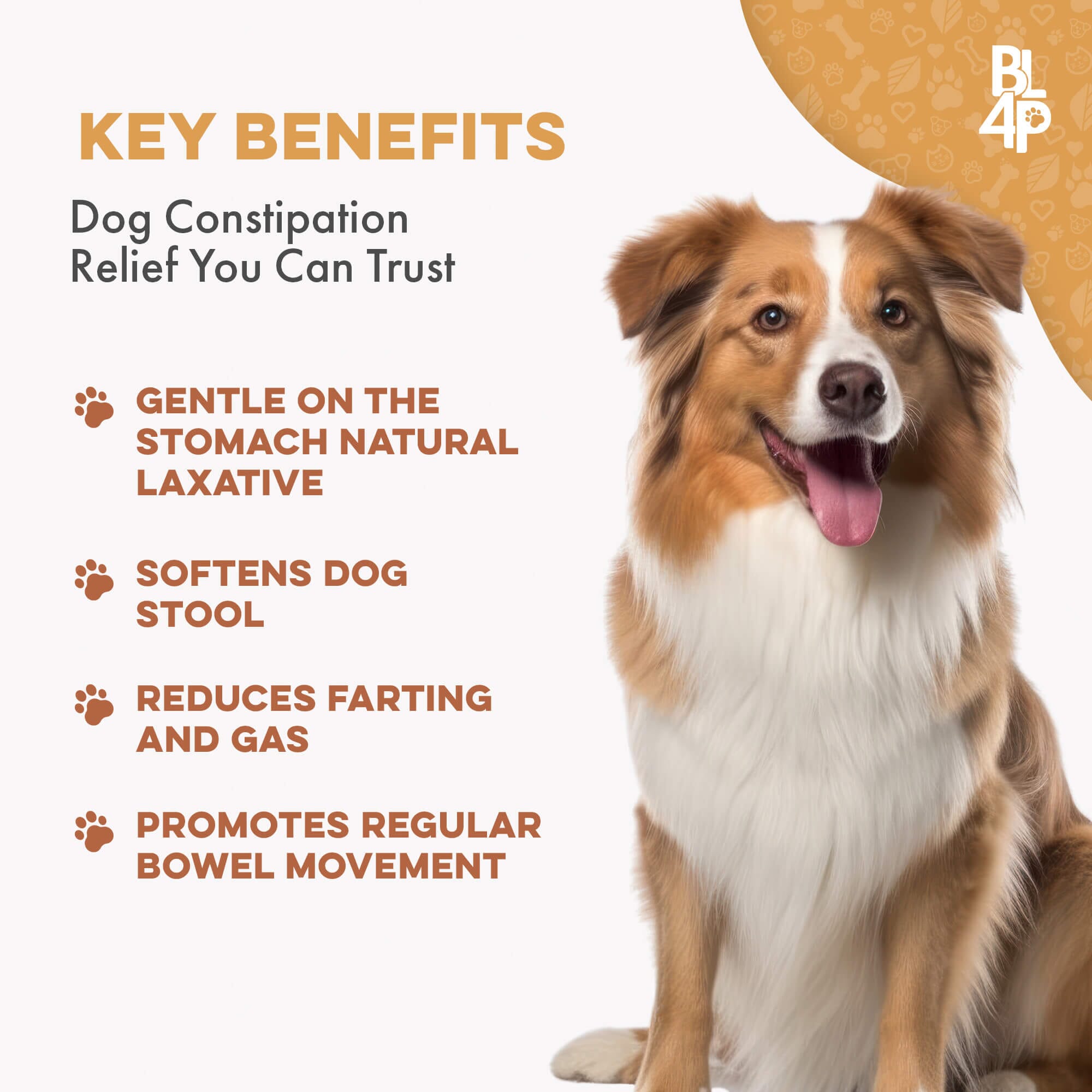 Natural Dog Laxative & Constipation Treatment BestLife4Pets 