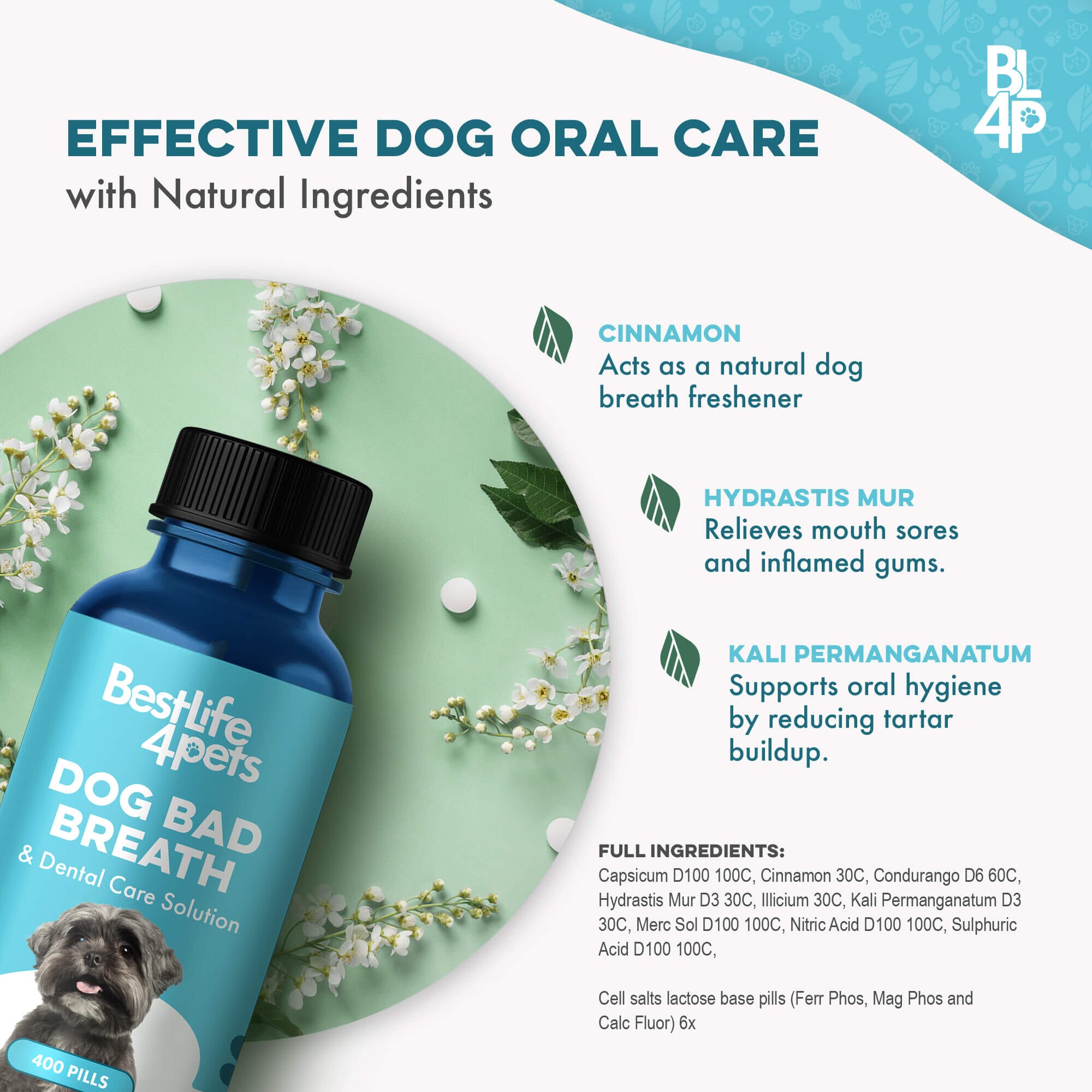 Dog Bad Breath & Dental Care Solution - Natural Remedy for Canine Oral Health BestLife4Pets 