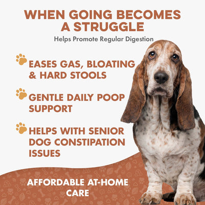 Dog Laxative & Constipation Remedy