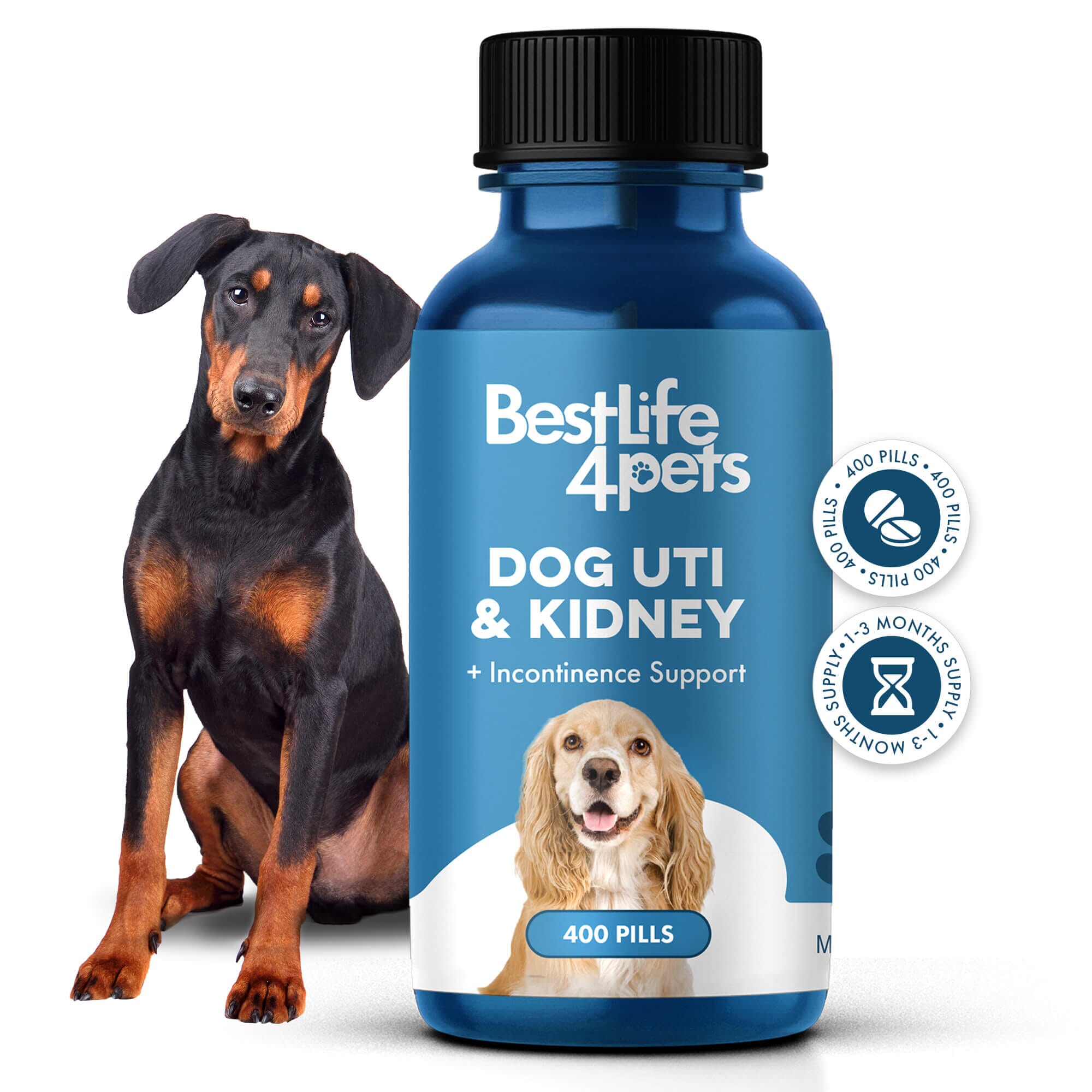 Dog UTI & Kidney Infection Treatment for Dogs BestLife4Pets 