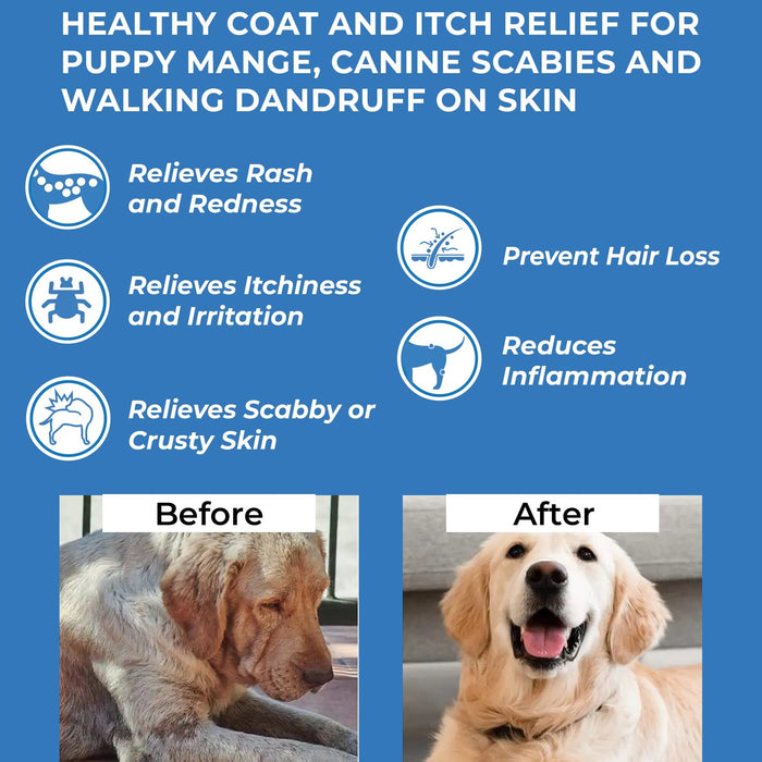 Can Puppies Get Scabies Can Puppies Get Scabies