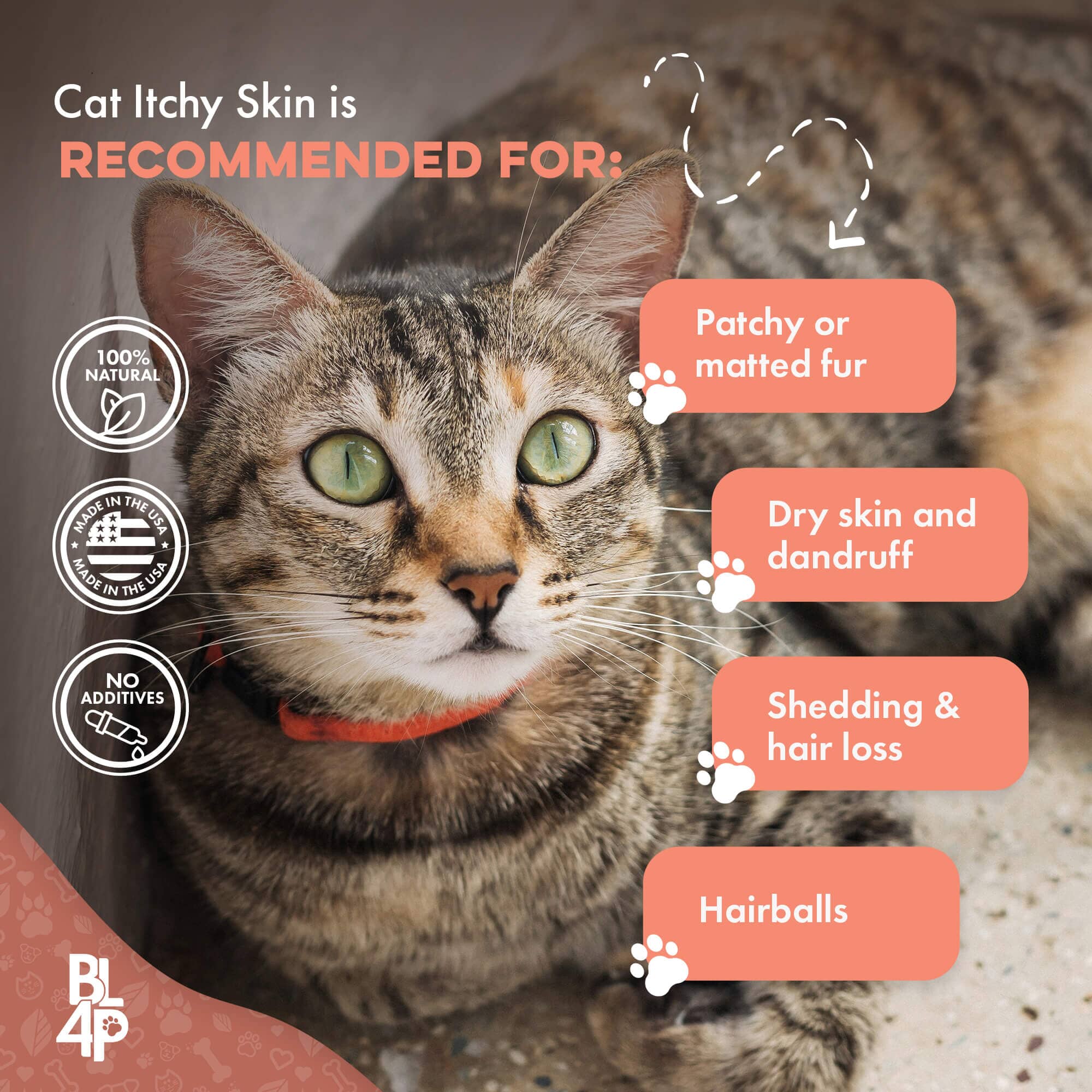 Healthy Skin for Cats - Cat Miliary Dermatitis, Skin Allergy & Cat Scabs Remedy BestLife4Pets 