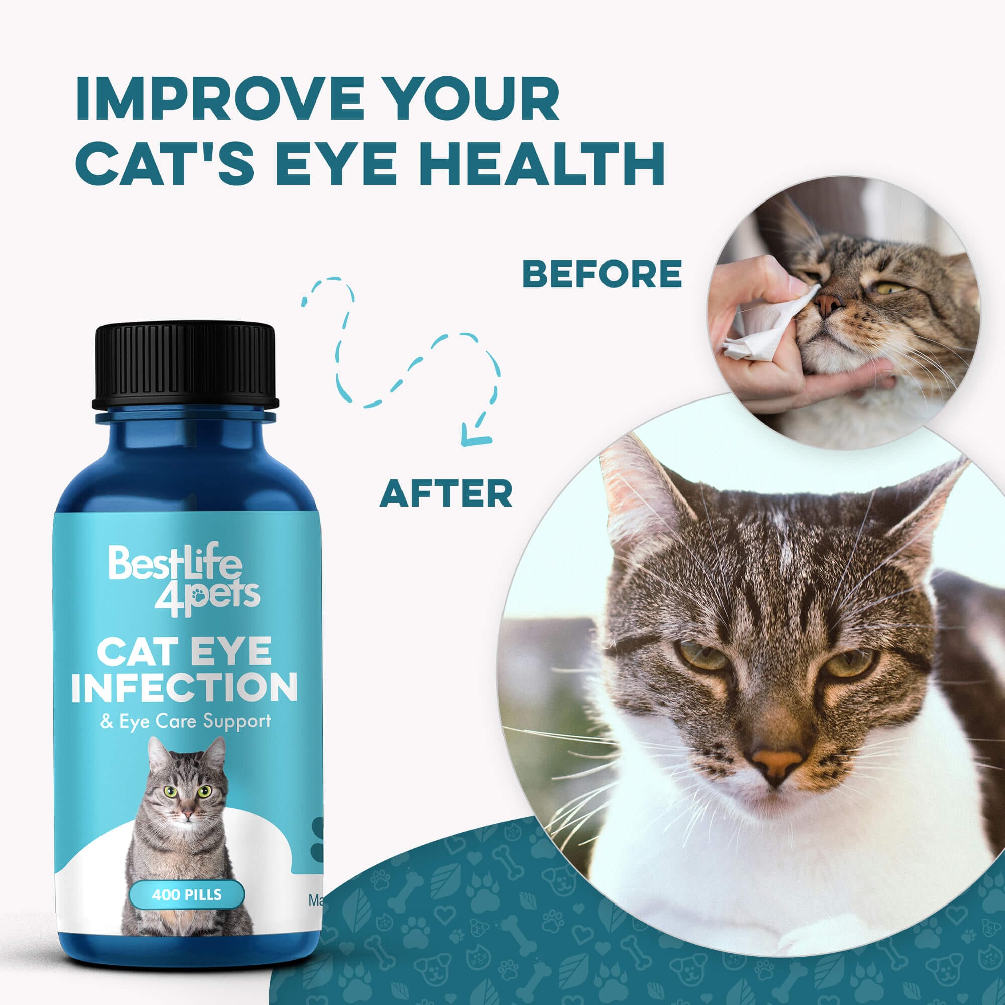 Cat Eye Infection, Eye Care & Vision Support BestLife4Pets 