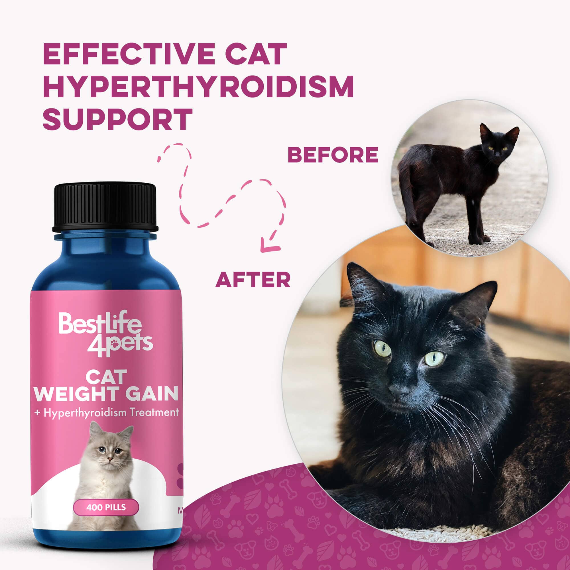 Cat Supplements for Weight Gain & Thyroid | Natural Relief by BestLife4Pets Cat Supplements for Weight Gain & Thyroid | Natural Relief by BestLife4Pets