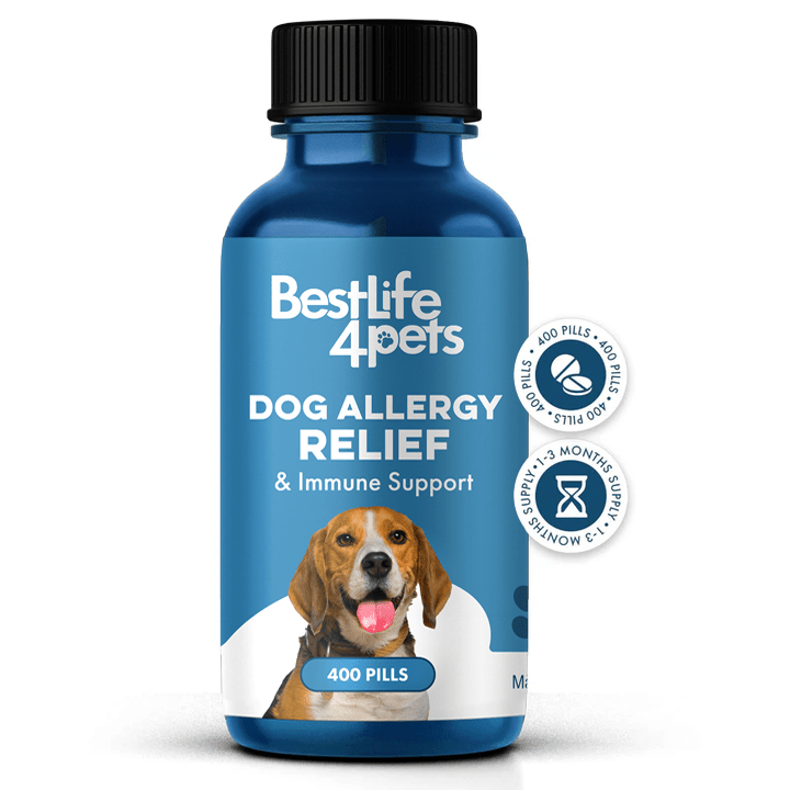 Allergy Tablets For Dogs Dog Respiratory Cold Relief Bundle