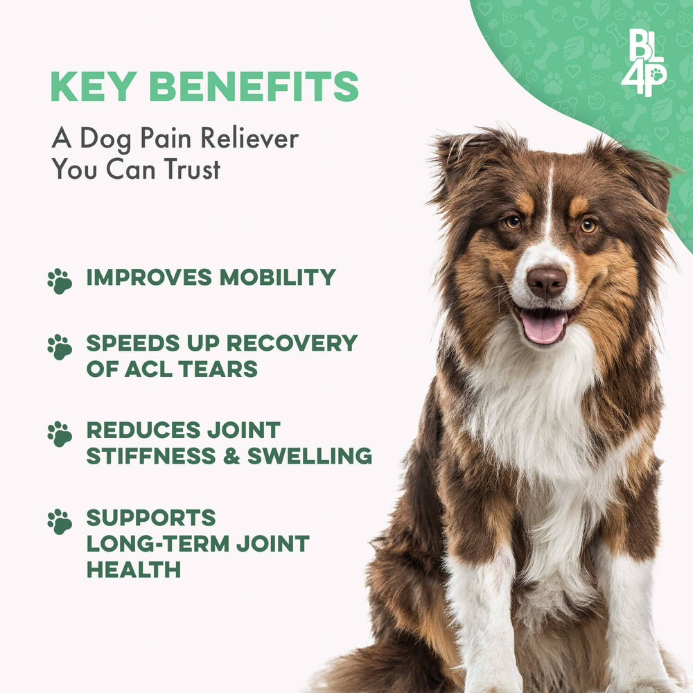 Dog Joint Health & Mobility Bundle (Arthritis, Hip Pain, Mobility Issu
