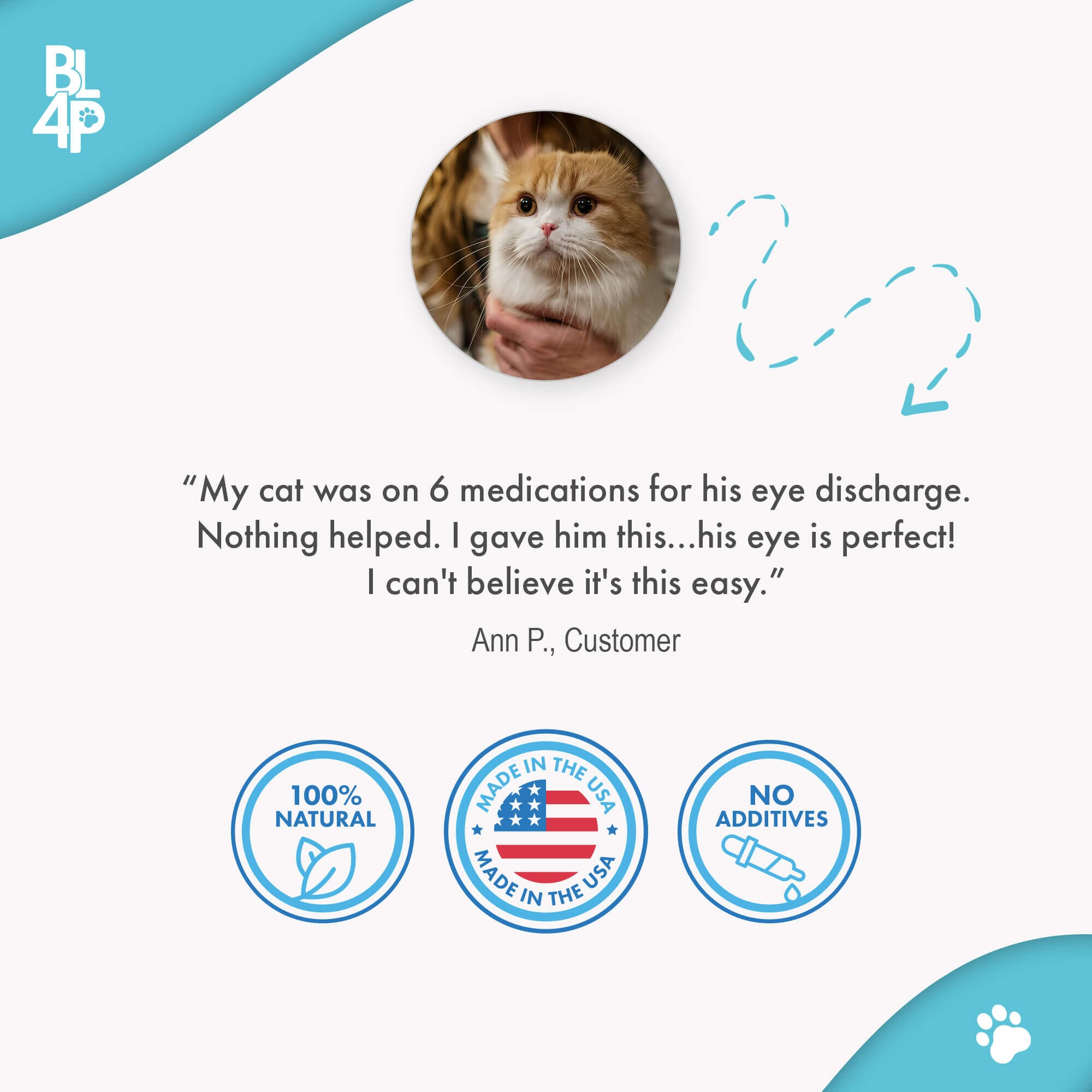 Discharge Feline Pink Eye Treatment Cat Eye Infection Vision