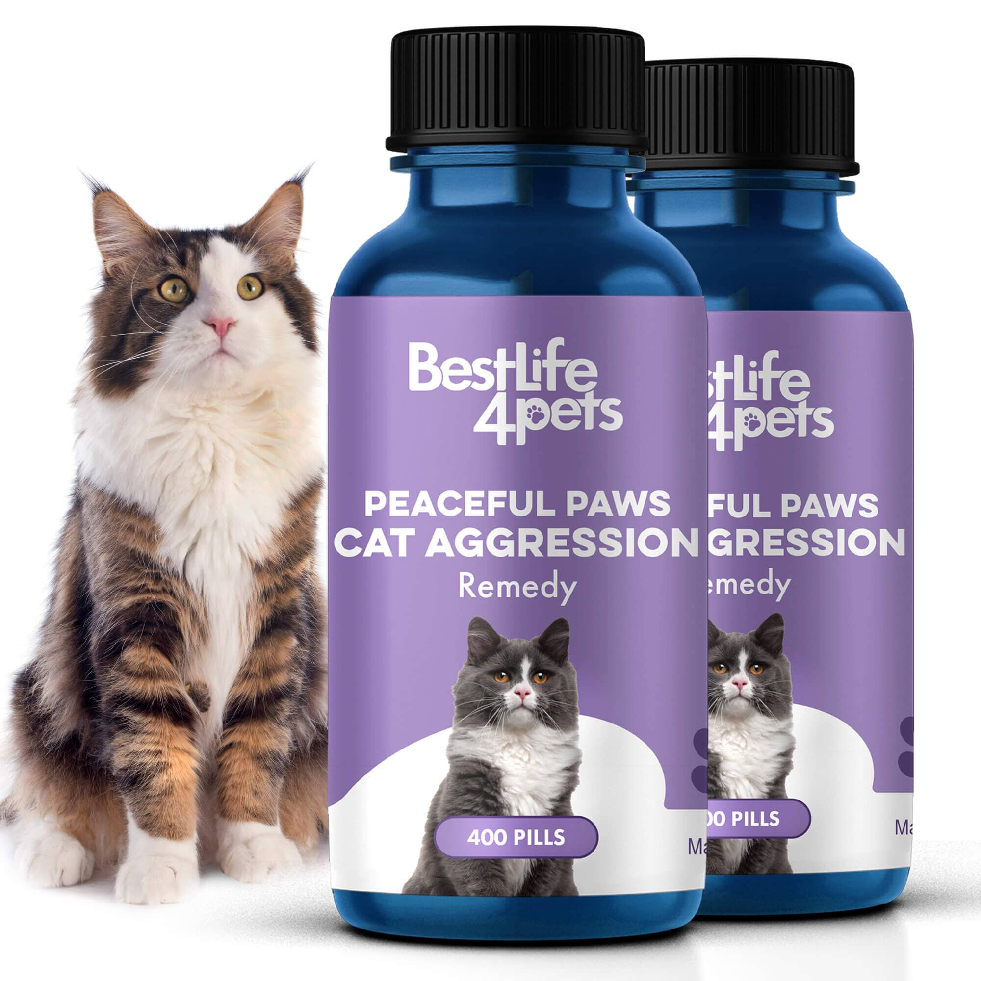 Peaceful Paws Cat Aggression & Anxiety Management for Stress, Spraying, Territorial Behavior BestLife4Pets 