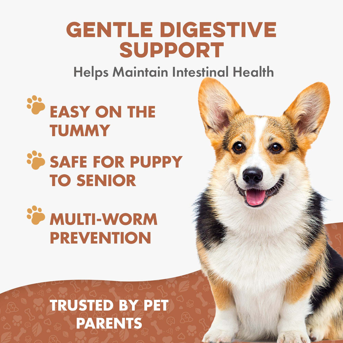 Natural Worm Defense for Dogs & Puppies | Broad Spectrum | BestLife4Pets