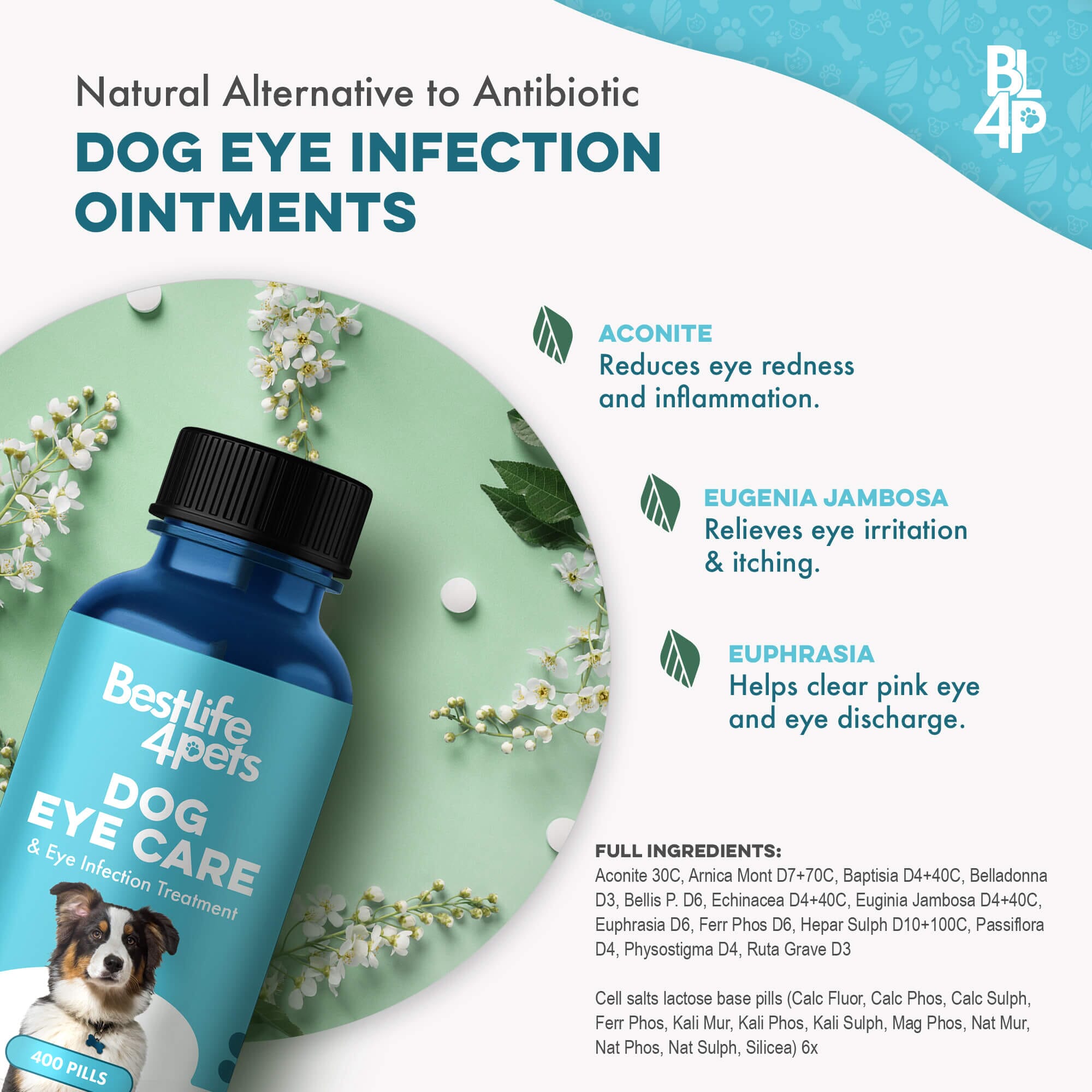 Natural Dog Eye Infection Treatment - Helps Conjunctivitis, Watery Eyes, Red Eye, and General Eye Care BestLife4Pets 