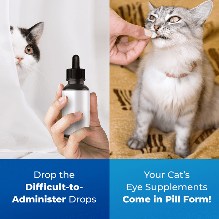 cat-eye-drops