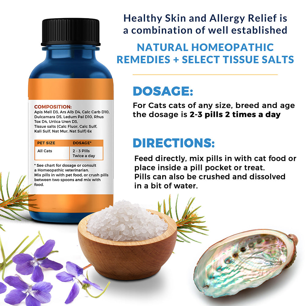 Natural Cat Scabs, Dermatitis & Skin Allergy Remedy // BestLife4Pets