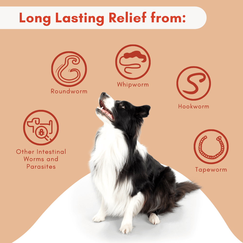 Best over the store counter dog wormer