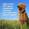 dog with shiny fur sitting in grass, text: Free your pet from constant itching, dry skin and nasty sores