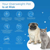 Healthy Weight for Overweight Dogs and Cats (450 Pills) BestLife4Pets 