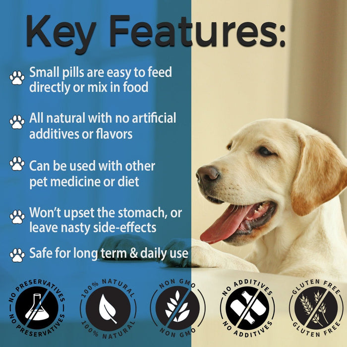 What Do You Feed A Dog With Hypothyroidism