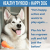 Hypo-Balance Thyroid Support for Dogs (450 Pills) BestLife4Pets 