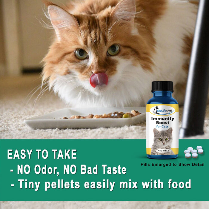 Immunity Boost for Cats - Helps Prevent Colds and Infections - (450 pills) BestLife4Pets 