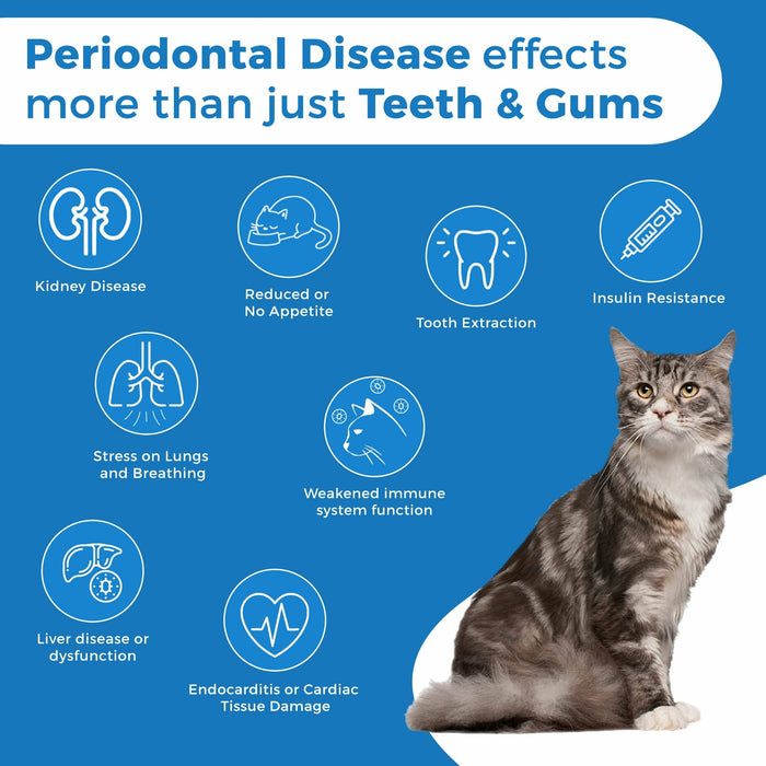 Oral Health for Cats Dental Treatment - Natural Stomatitis and Gingivitis Solution (450 pills) BestLife4Pets 