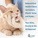 Oral Health for Cats Dental Treatment - Natural Stomatitis and Gingivitis Solution (450 pills) BestLife4Pets 