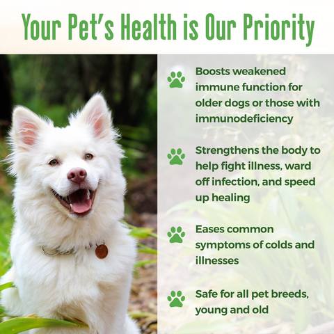 Immunity Boost for Dogs - 450 Pills BestLife4Pets 